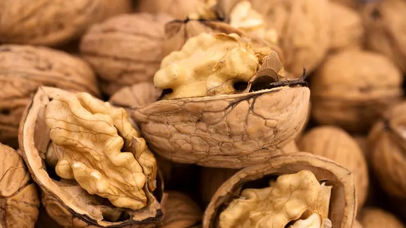 আর্কাইভ: নতুন নীতিমালা প্রণয়ন - পর্ব 5