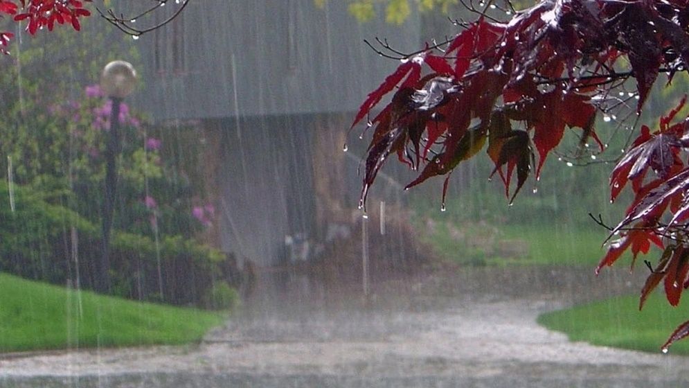 সাক্ষাৎকার বিষয়ে নতুন পরিকল্পনা ঘোষণা - পর্ব 1ধ