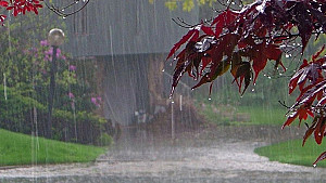 জাতীয়: গবেষণার ফলাফল প্রকাশ - পর্ব 1